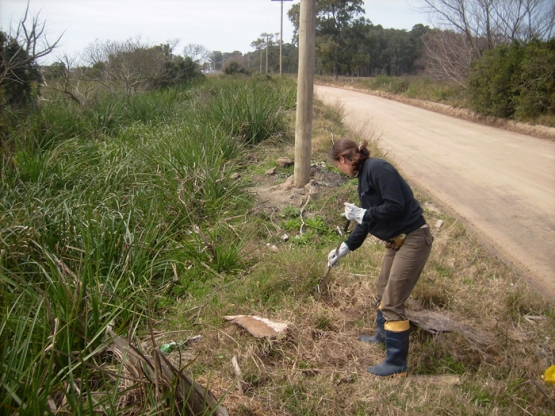 Consultora realizando uma observação direta de herpetofauna.