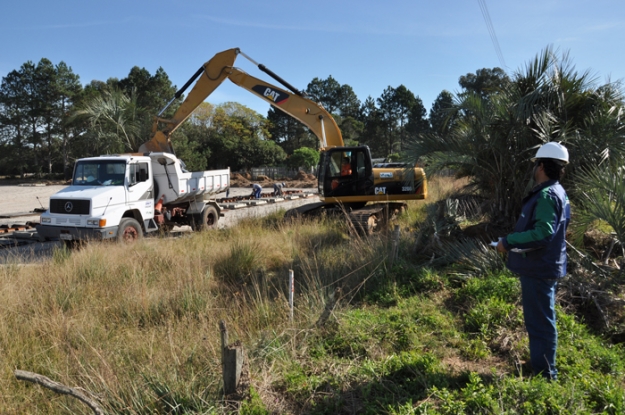 Transplante de butiazeiro - Lote 02 - km 41+080