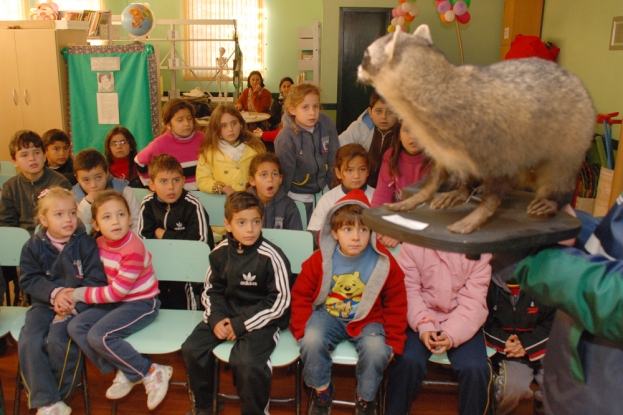 O Mão-pelada taxidermado chamou atenção dos alunos da E.M.E.F. Professora Maria da Graça Reyes.