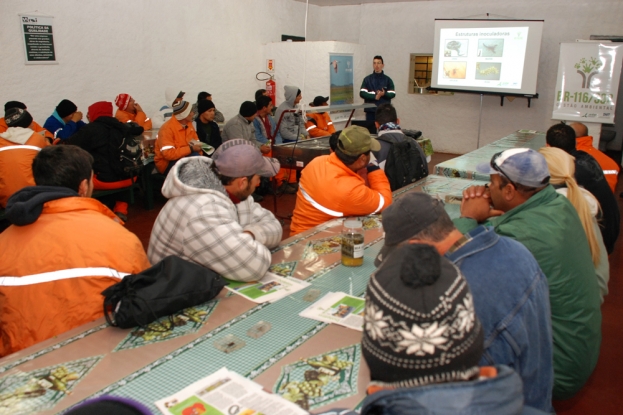 A equipe de Educação Ambiental da Gestão da Br-116/392 apresentando a palestra 