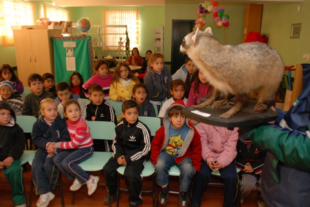 O Mão-pelada taxidermizado foi apresentado para os alunos da E.M.E.F. Professora Maria da Graça Reyes na atividade da Semana do Meio Ambiente do Rio Grande.