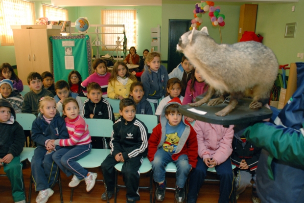 O mão-pelada desperta a atenção dos alunos da E.M.E.F. Profª Maria da Graça Reyes - 06 junho de 2012