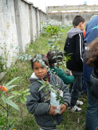 Aluno da E.E.E.F. Alcides Barcelos com muda de árvore nativa - 19 de junho de 2012