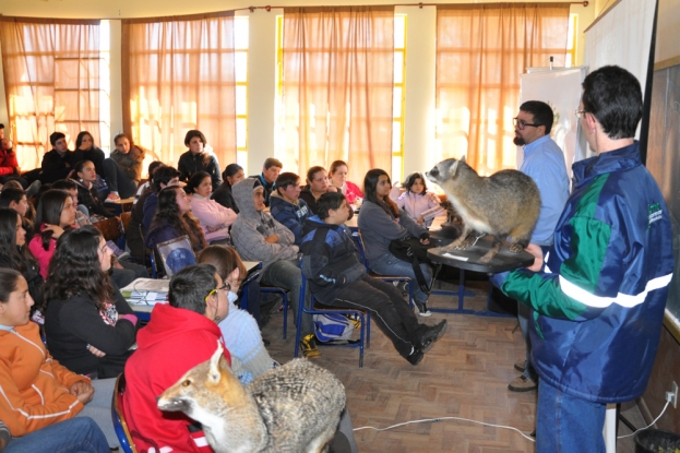 Na atividade de educação ambiental na E.E.E.M. Alfredo Ferreira Rodrigues, os estudantes conhecem a pegada do mão-pelada (Procyon cancrivorus) - 26 de junho de 2012