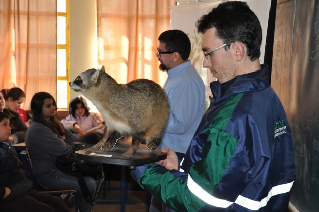 O Agente de Comunicação Solano Ferreira fala sobre os animais nativos que vivem próximo da BR-392 - 26 de junho de 2012