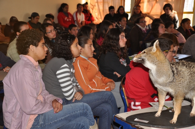 Estudantes da E.E.E.M. Alfredo Ferreira Rodrigues atentos quando o assunto é cuidados com a natureza - 26 de junho de 2012