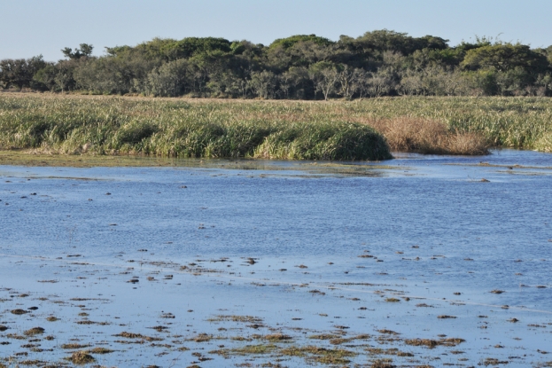 Paisagem característica da região localizada no entorno da rodovia da BR-392.