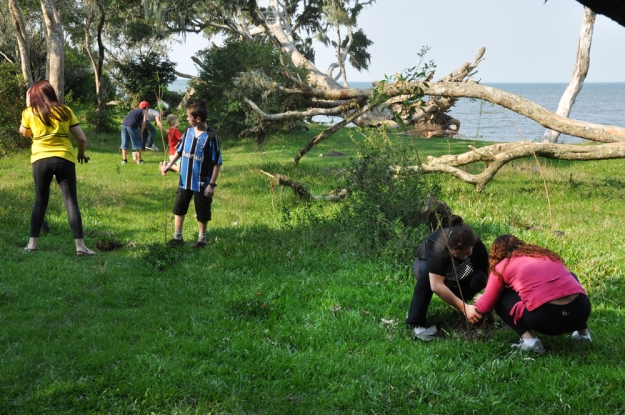 Plantio de mudas nativas na orla da Lagoa dos Patos no balneário Barro Duro - 24 de Agosto de 2012