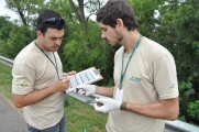 Programa de Monitoramento de Fauna - Campanhas de atropelamento registram e contribuem com a redução dos impactos ambientais