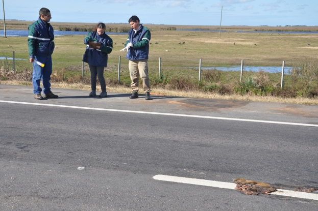 Equipe realizando o registro em ficha para contabilização e análise dos atropelamentos de fauna.