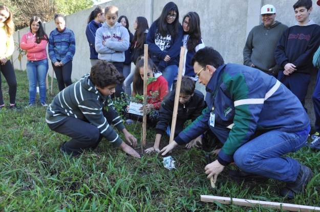 Cada turma plantou uma muda no pátio da escola