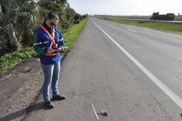 14ª campanha de monitoramento de atropelamento de fauna