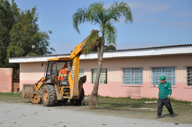 Plantio do Jerivá na E.M.E.F. Antônio Joaquim Dias, no turno da manhã