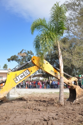 Plantio do Jerivá na E.M.E.F. Antônio Joaquim Dias, no turno da manhã