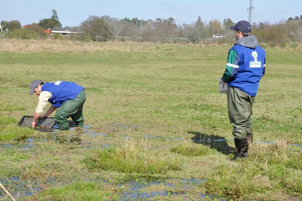 Equipe da Gestão Ambiental realizando captura dos peixes anuais (rivulídeos) para identificação das espécies no charco.