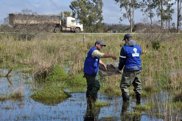 Equipe da Gestão Ambiental realizando captura dos peixes anuais (rivulídeos) para identificação das espécies no charco.