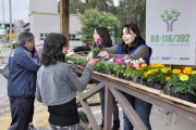 DNIT distribui mudas de flores para marcar o início da primavera