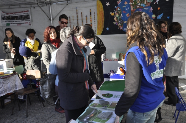 Equipe da Gestão Ambiental da BR-116/392 na atividade da Rua Verde. 15 de junho de 2015